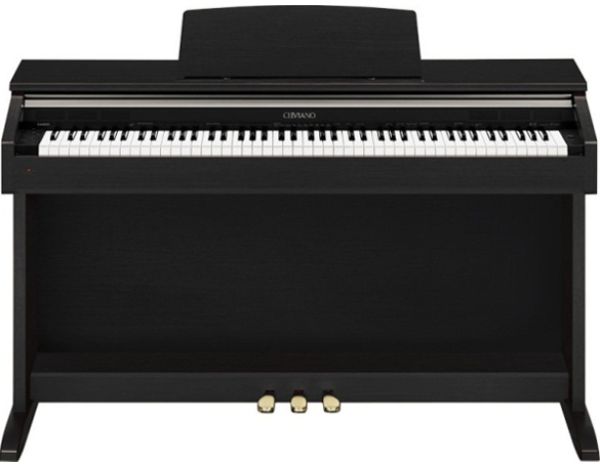 AP220BK.jpg