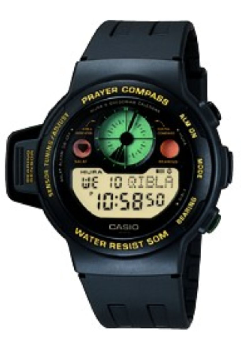 CPW3101V.jpg