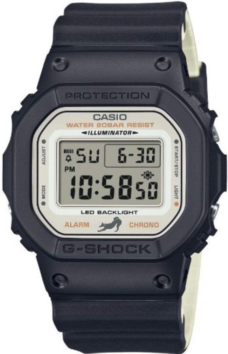 DW5600SHB1.jpg