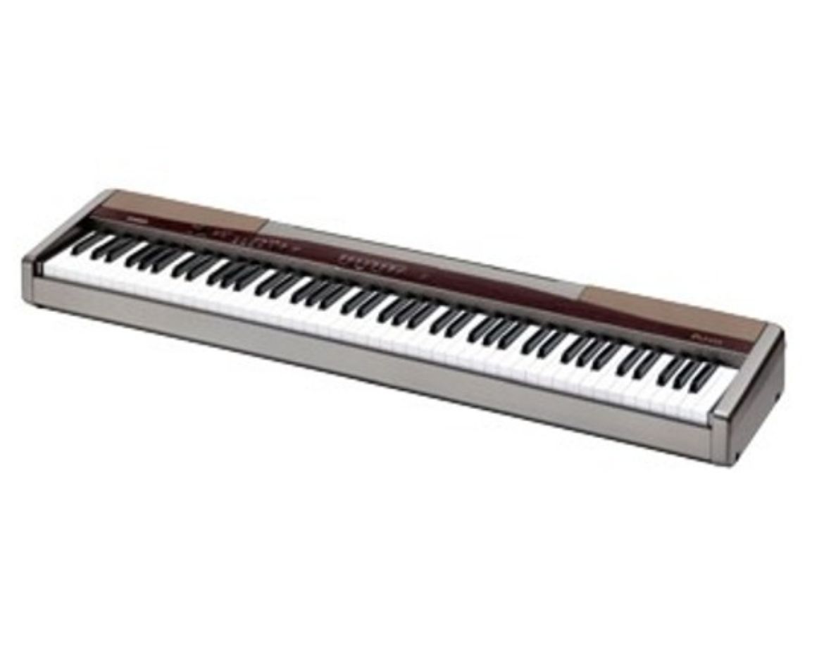 PX100.jpg