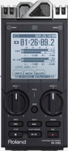 R26.jpg