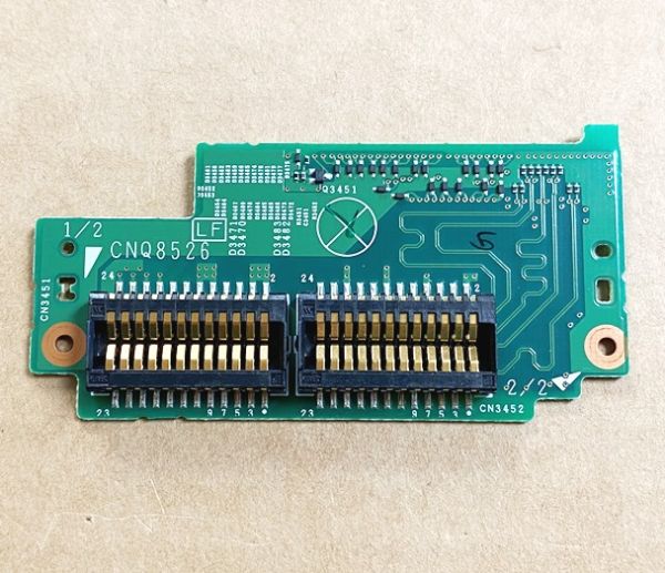 CXY1394.jpg