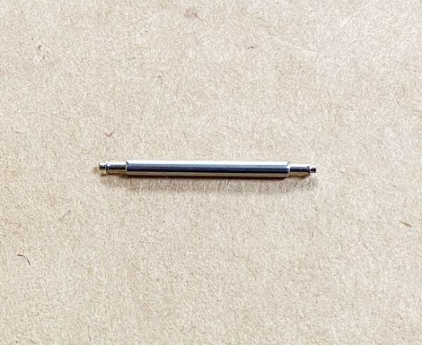 10290671.jpg
