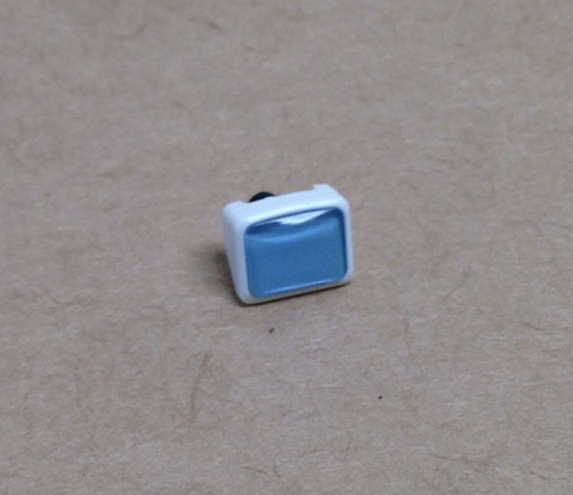 10248911.jpg