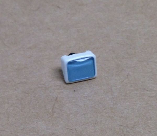10248911.jpg