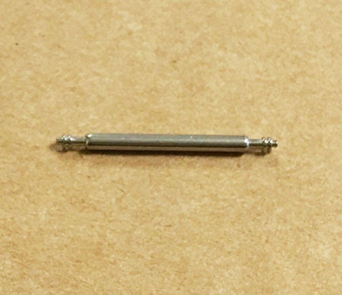 10094219.jpg