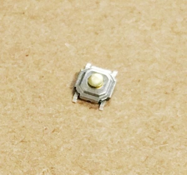 DSG1134.jpg