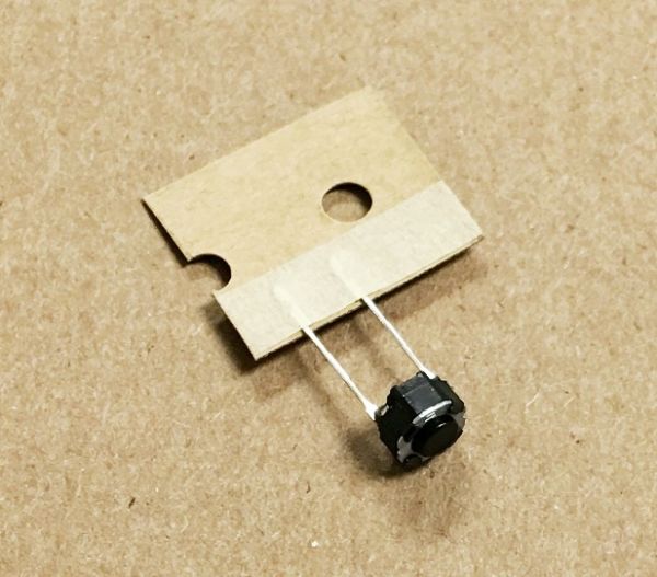 DSG1117.jpg