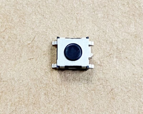 DSG1151.jpg