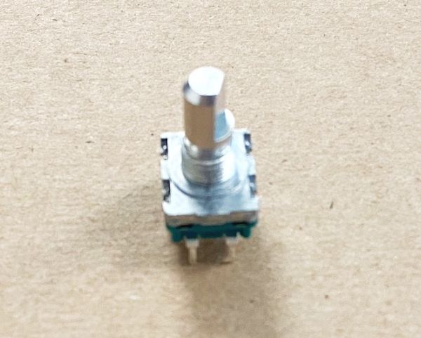 DSX1056.jpg