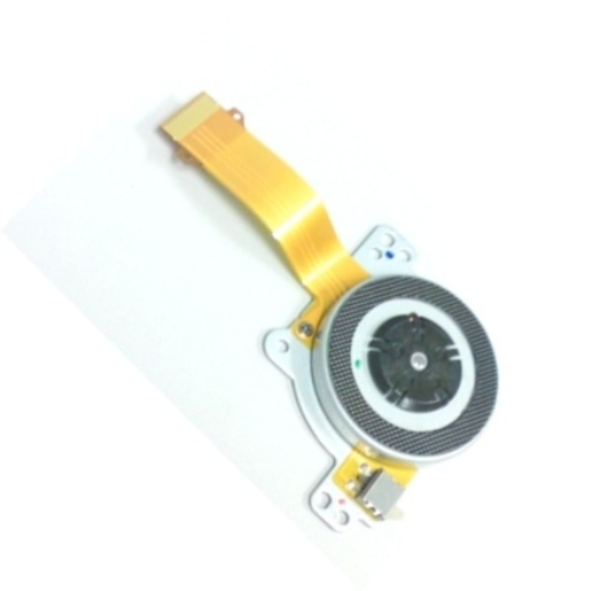 T42132905.jpg