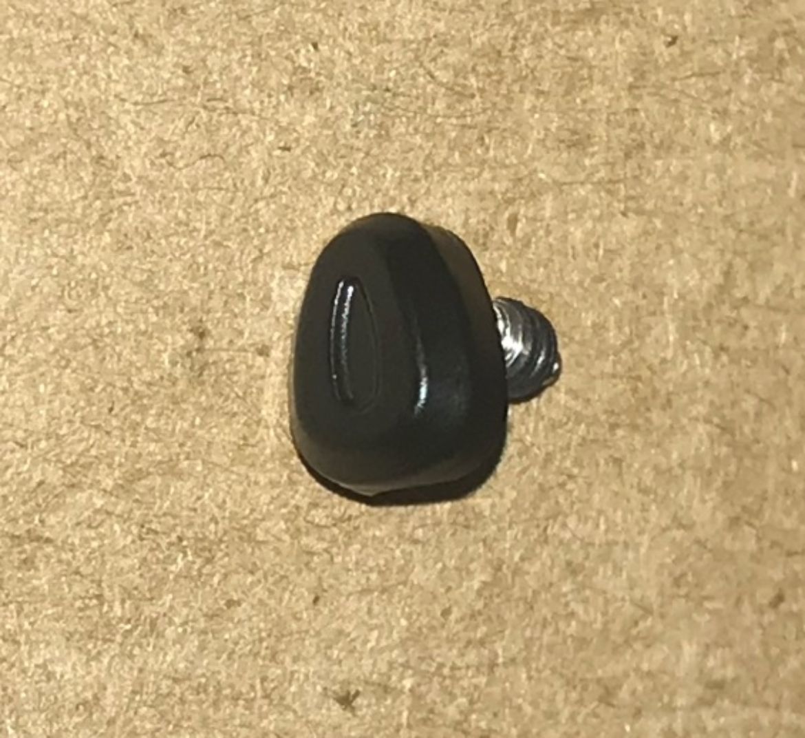10099249.jpg