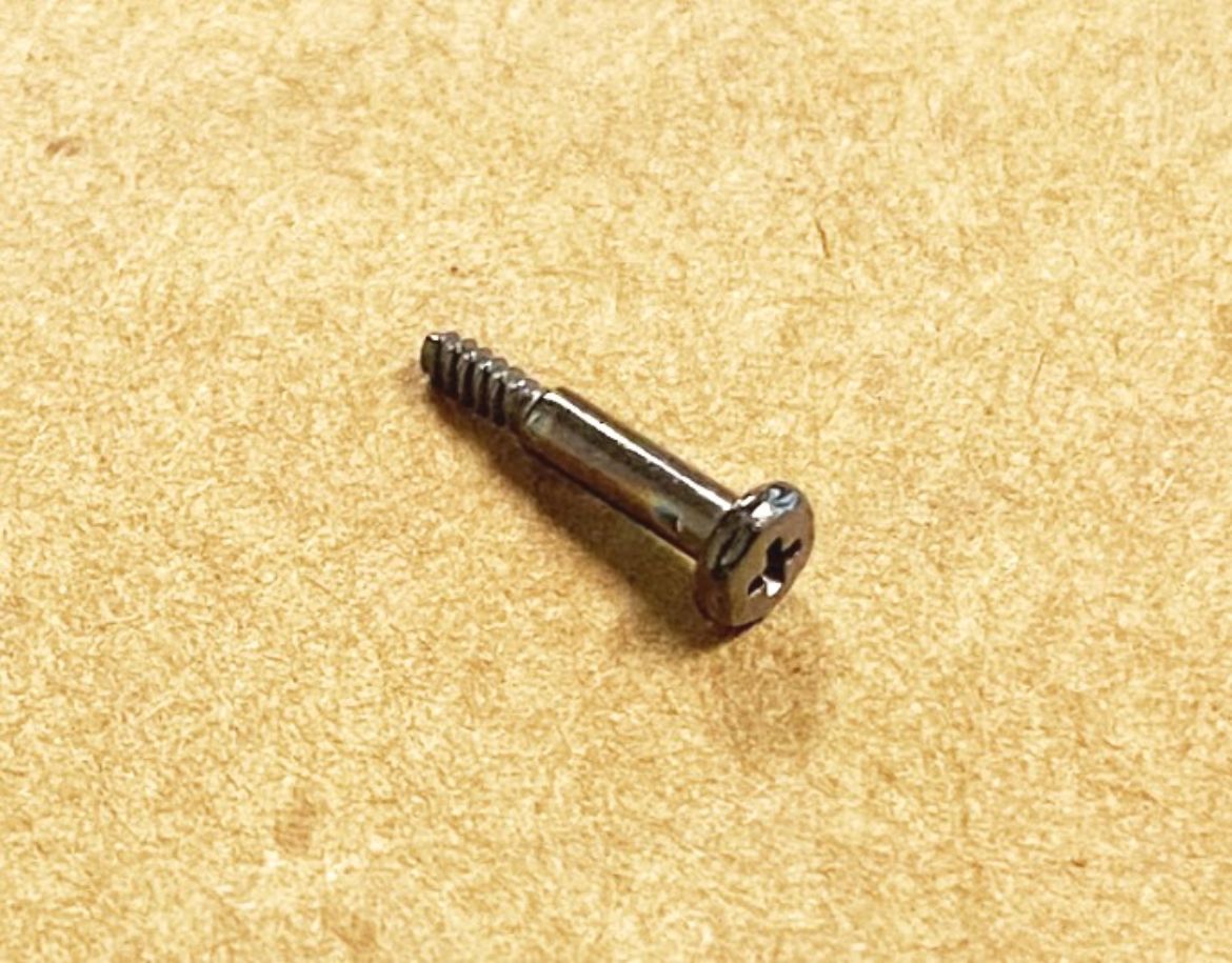 10318159.jpg
