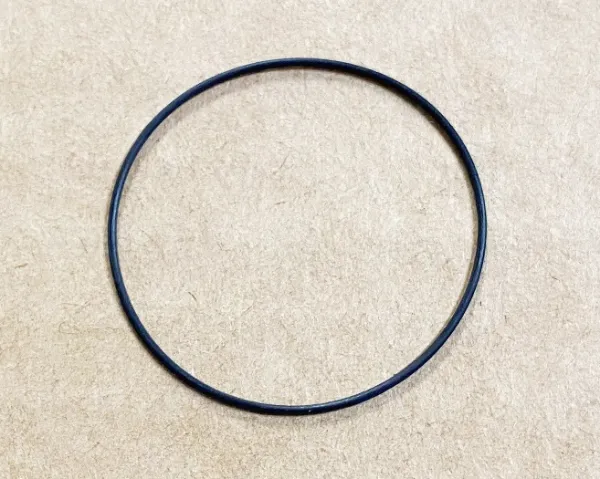 10624587.jpg