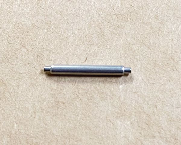 10593491.jpg