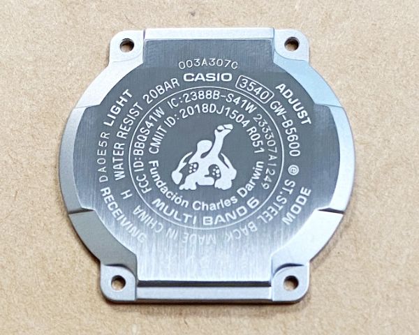 10667614.jpg