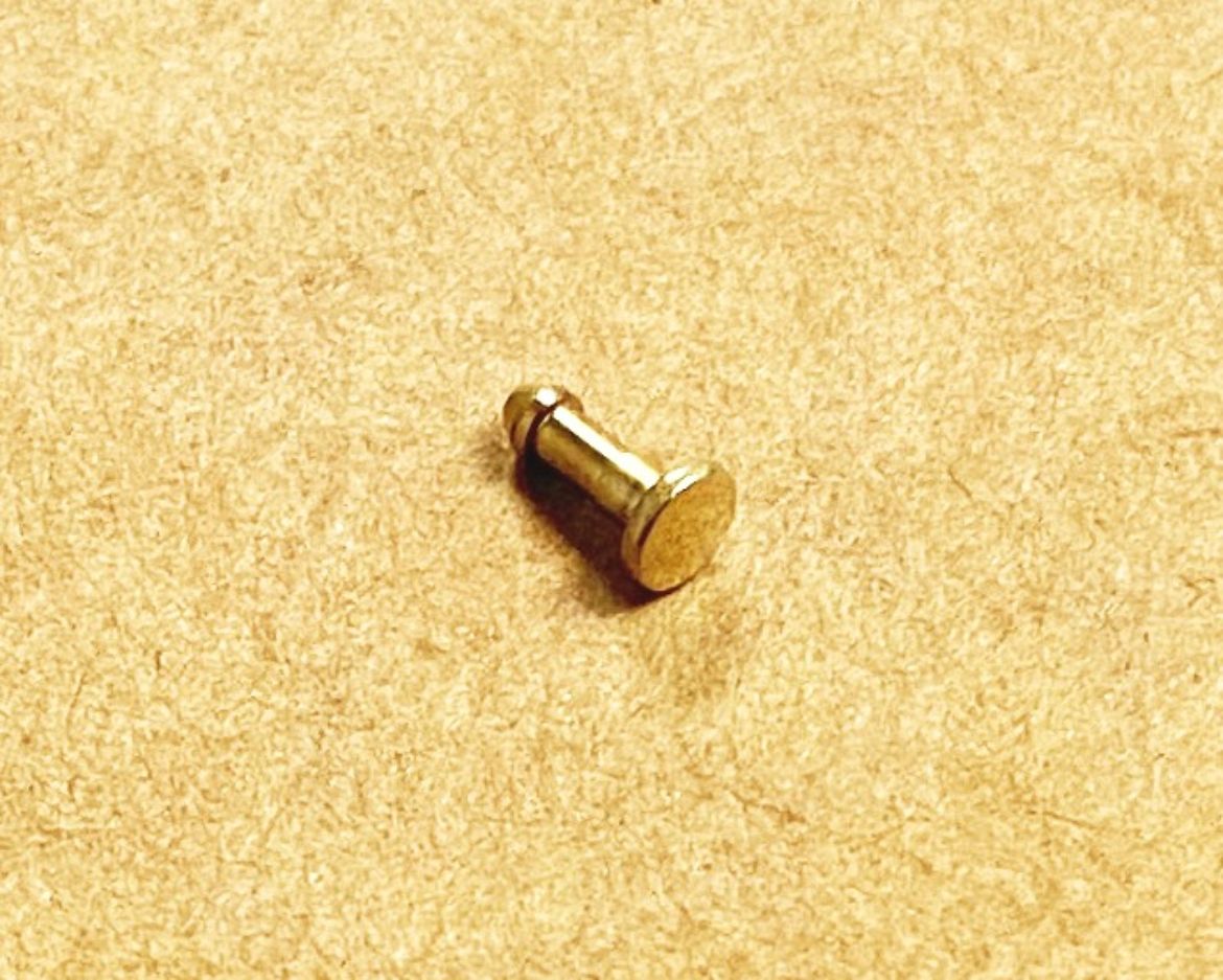 10358364.jpg