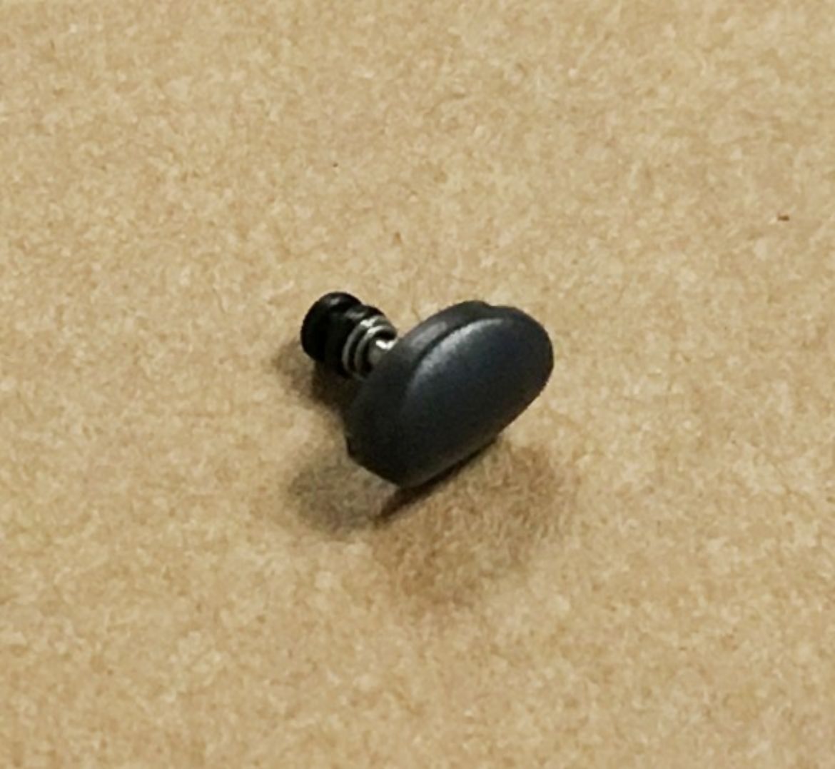 10429024.jpg