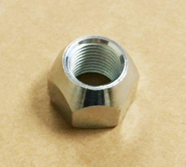 TCAM1LUGNUT.jpg