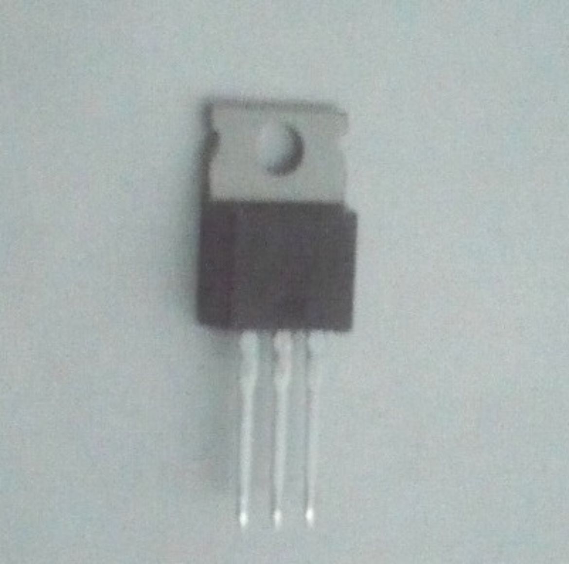 48T25064Y02.jpg
