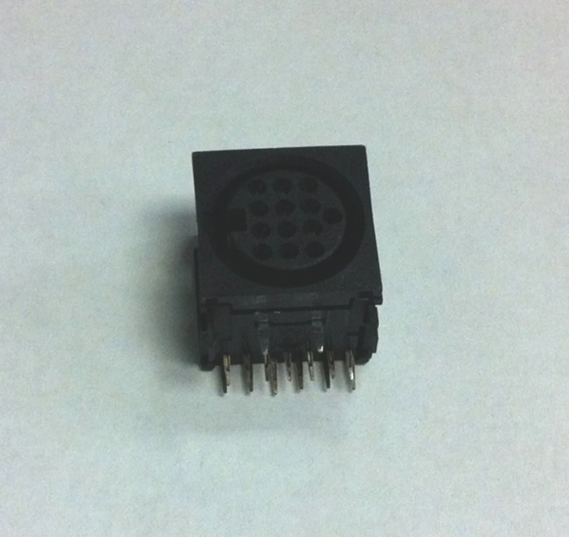 E56083405.jpg