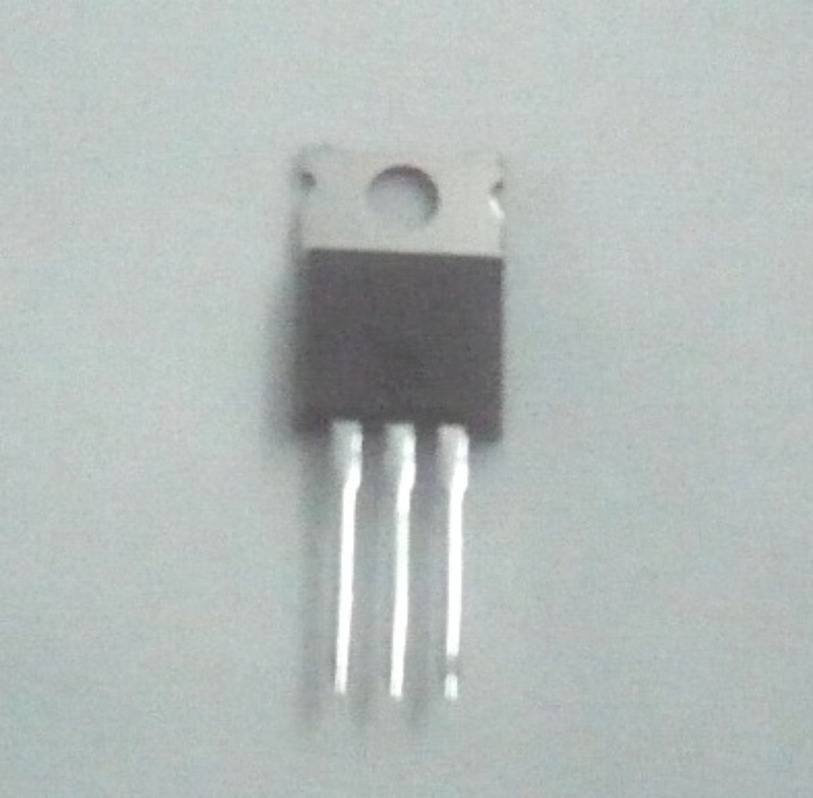48T25206Y02.jpg
