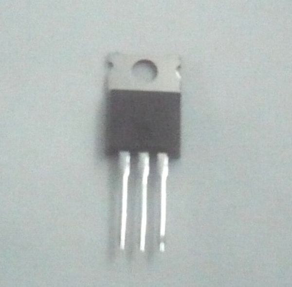 48T25206Y02.jpg