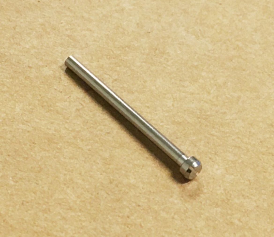 10079088.jpg