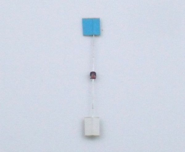 001050448.jpg