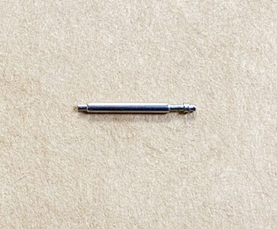 10608641.jpg
