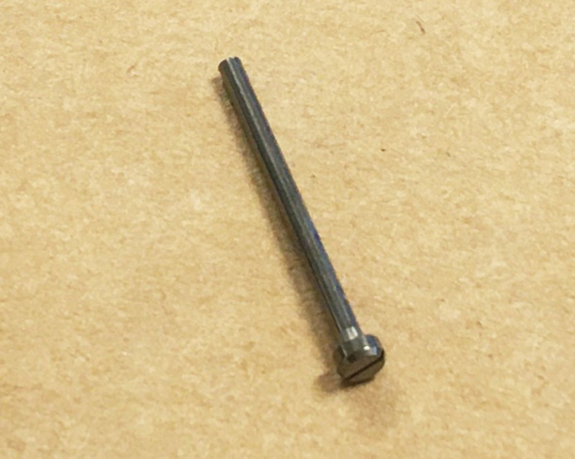 10528159.jpg