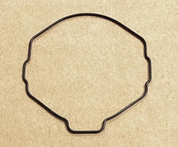 10045819.jpg